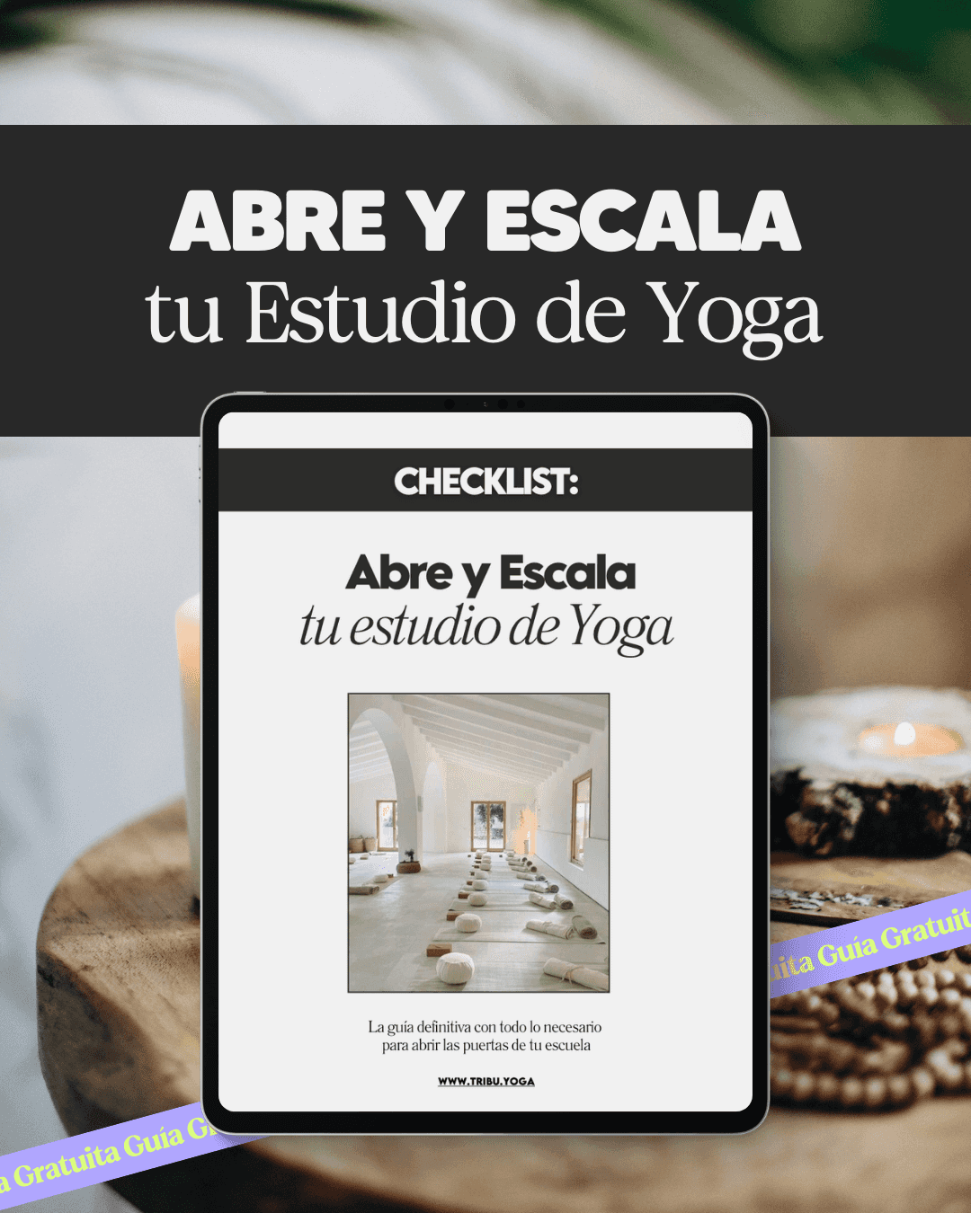 Plan de Negocios